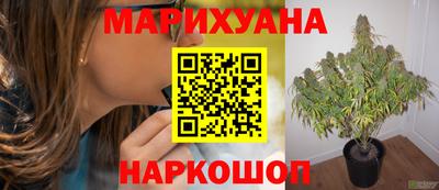 не бодяженный Сланцы