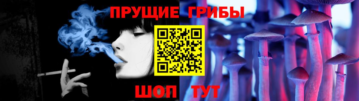 Новороссийск  Псилоцибиновые грибы мицелий  где продают   Вход с VPN 