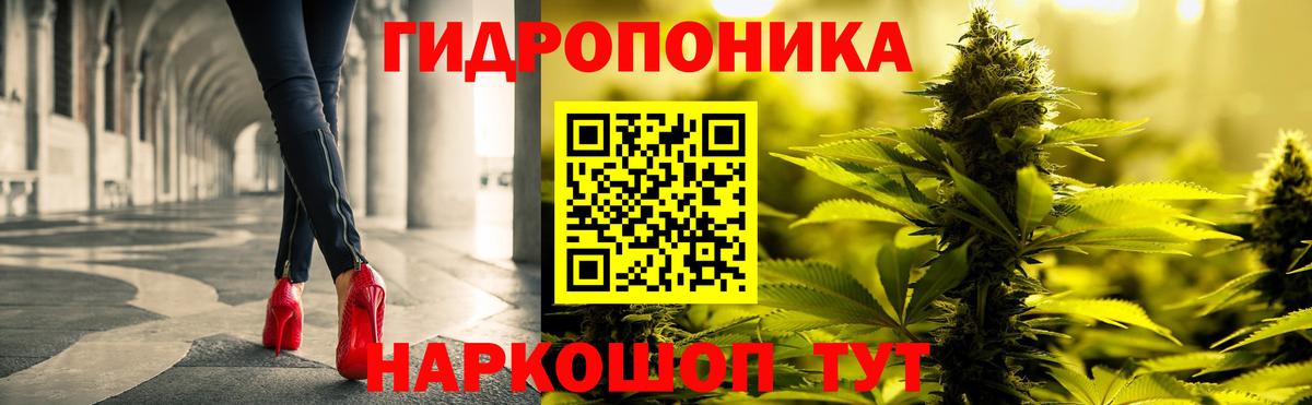 Шишки марихуана планчик Новороссийск